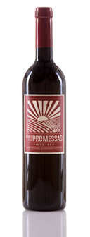 Monte das Promessas Tinto