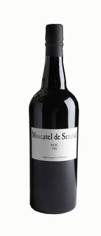 Moscatel de Set&uacute;bal 1981